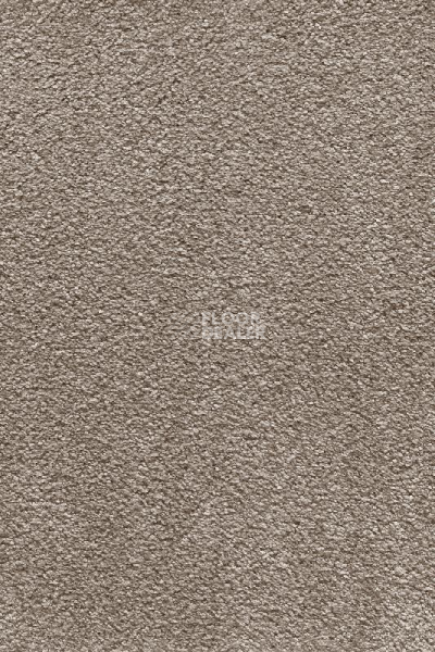 Ковролин AW Masquerade Moana 39 фото 1 | FLOORDEALER